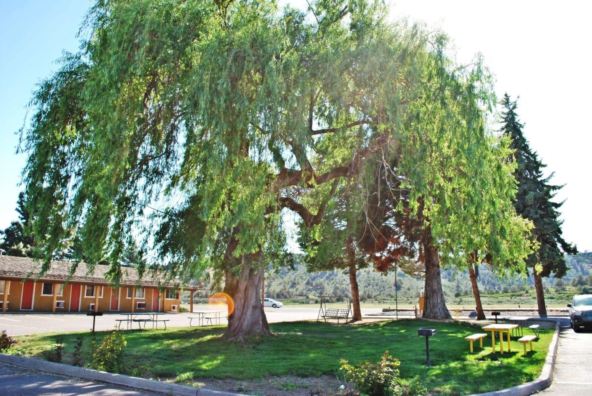 Oregon Motel 8&RV Park Klamath Falls Exterior foto